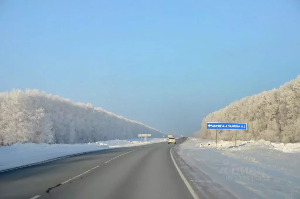 Участок в Новосибирская область, Черепановский район, с. Дорогина ... - Фото 1