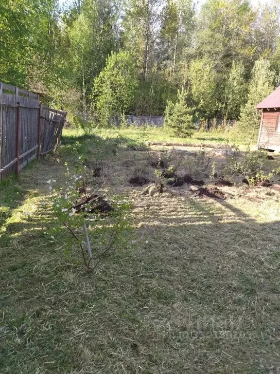 Дом в Новгородская область, Новгородский муниципальный район, ... - Фото 2