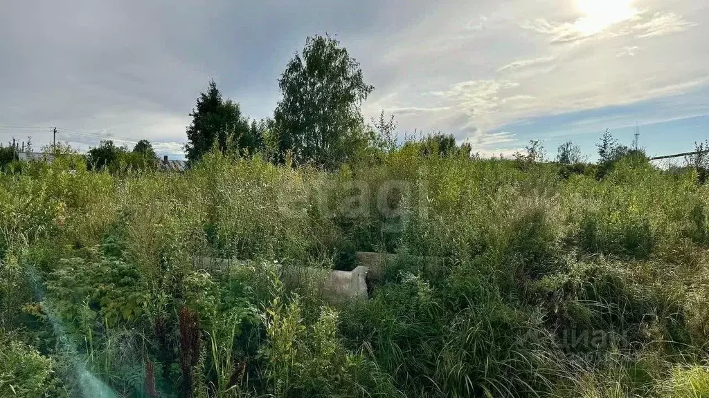Участок в Вологодская область, Череповецкий район, Судское с/пос, пос. ... - Фото 1
