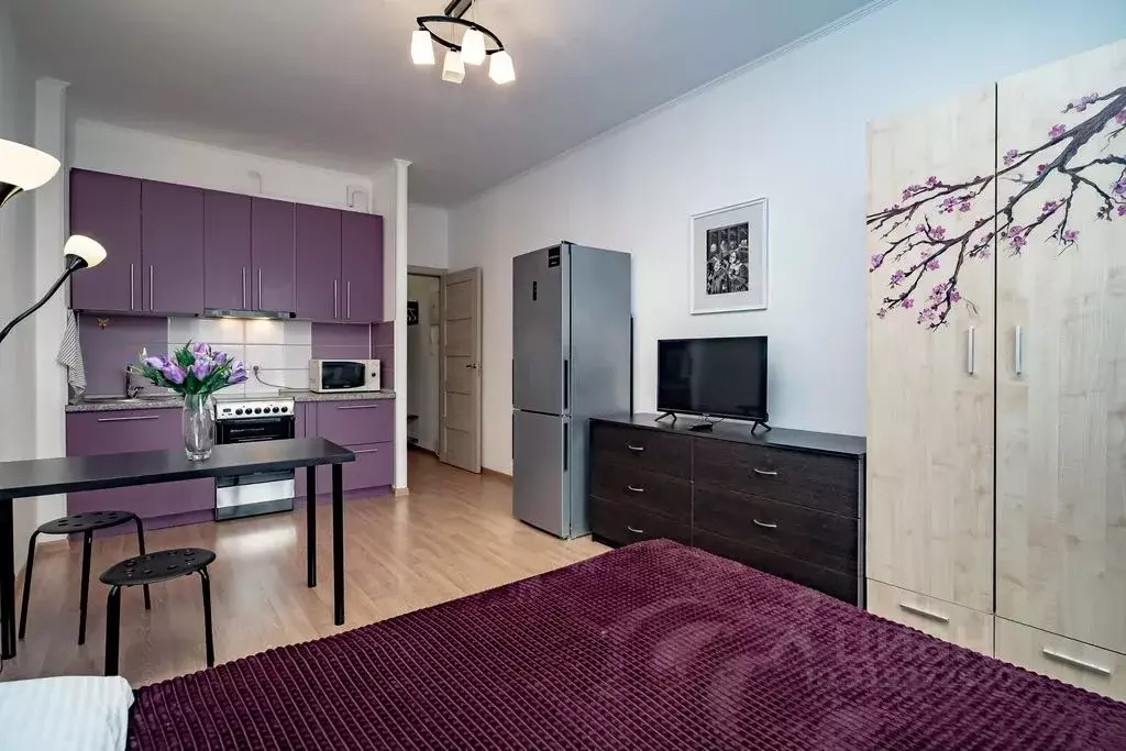 Студия Санкт-Петербург ул. Адмирала Черокова, 20 (24.0 м) - Фото 1