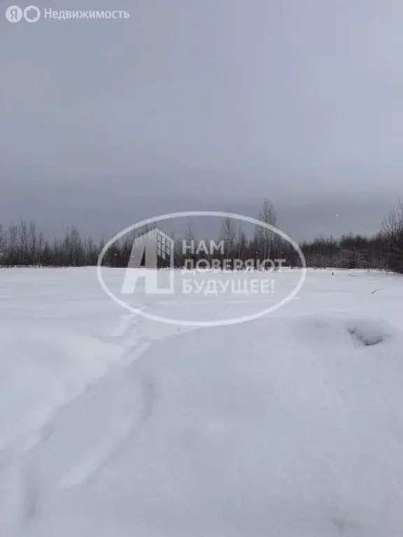 Участок в Лысьва, улица Лермонтова, 252 (9 м) - Фото 0