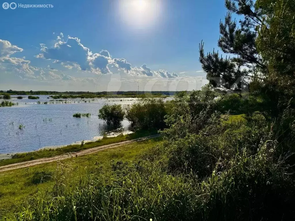 Участок в Тюменский район, деревня Решетникова (6 м) - Фото 0