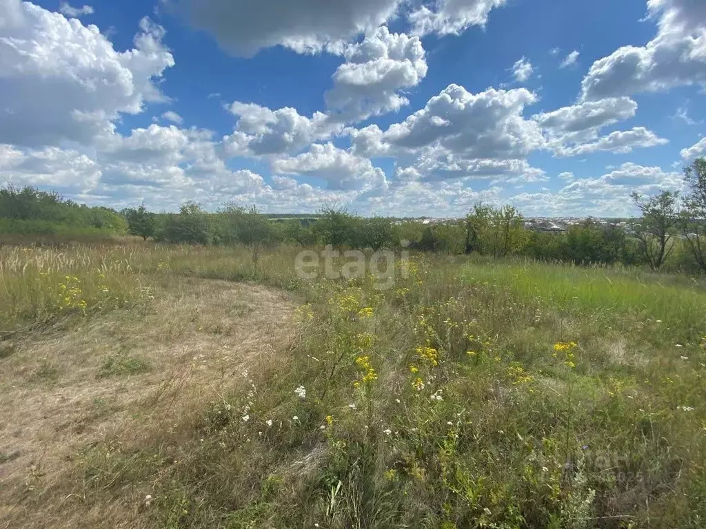 Участок в Белгородская область, Белгородский район, Новосадовское ... - Фото 0