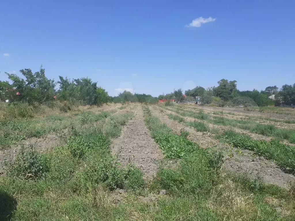 Дом 51,5 м на участке 28 сот. - Фото 1