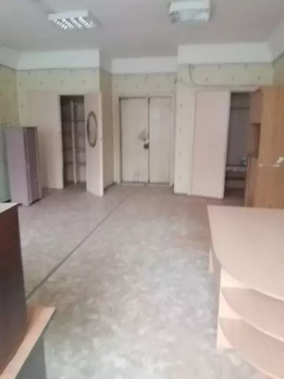 Производственное помещение в Новосибирская область, Новосибирск ул. ... - Фото 1