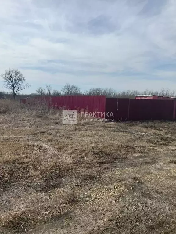 Участок в Липецкая область, Лебедянский муниципальный округ, с. ... - Фото 2