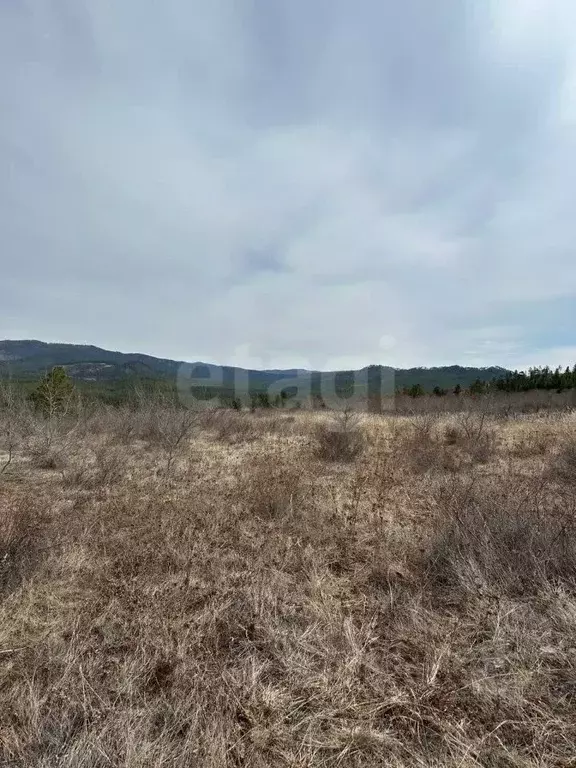 Участок в Бурятия, Тарбагатайский район, Саянтуйское с/пос, с. Нижний ... - Фото 1