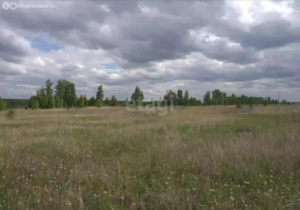 Участок в Тукаевский район, Биюрганское сельское поселение, деревня ... - Фото 2