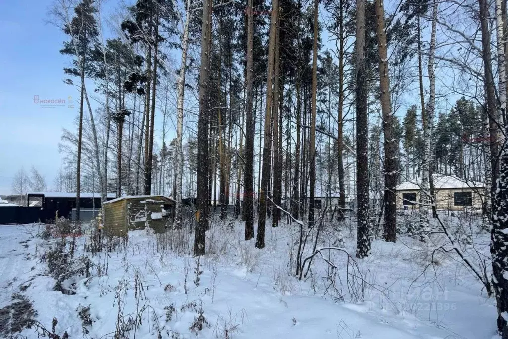 Участок в Свердловская область, Сысертский муниципальный округ, пос. ... - Фото 2