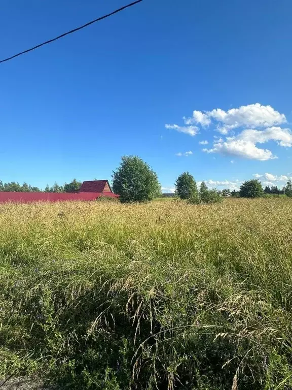 Участок в Новгородская область, Новгородский район, Ракомское с/пос, ... - Фото 1