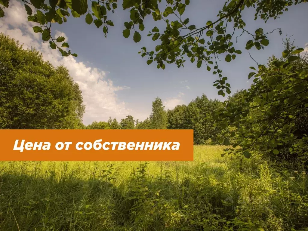 Участок в Московская область, Серпухов городской округ, д. Левашово  ... - Фото 2