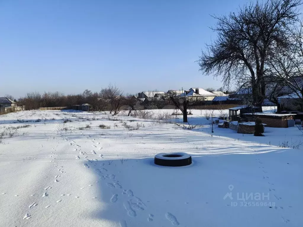 Участок в Белгородская область, Алексеевка ул. Маслоделов, 8 (20.55 ... - Фото 2