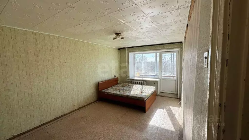 1-к кв. Амурская область, Благовещенск Зеленая ул., 79А (33.2 м) - Фото 2