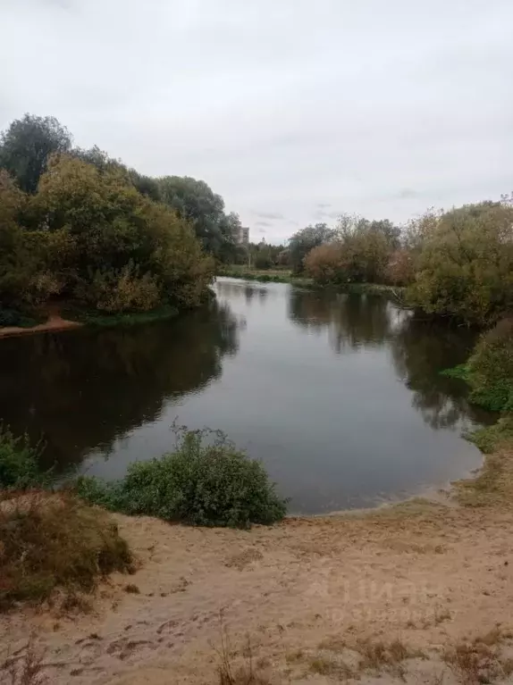 Дом в Московская область, Богородский городской округ, Горбуша СНТ 89 ... - Фото 1