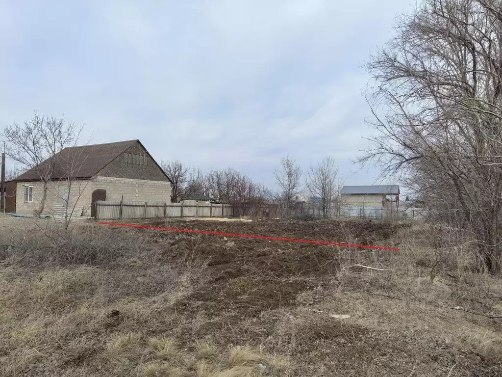 Участок в Волгоградская область, Городищенский район, Новожизненское ... - Фото 1