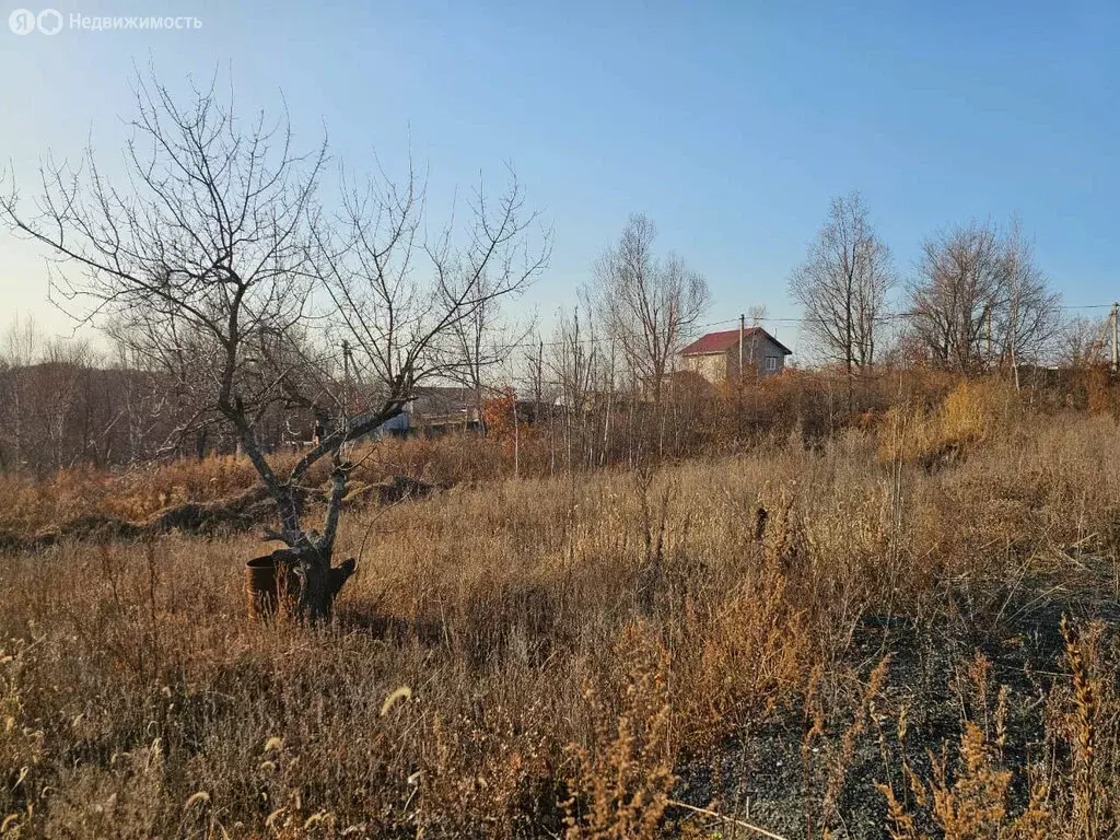 Участок в Артём, садовое некоммерческое товарищество Меркурий (10 м) - Фото 2