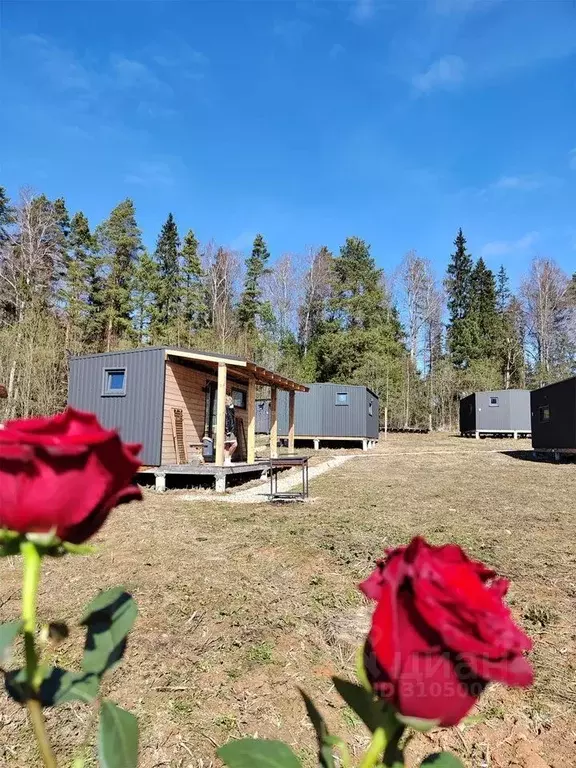 Дом в Московская область, Рузский городской округ, пос. Беляная Гора  ... - Фото 0