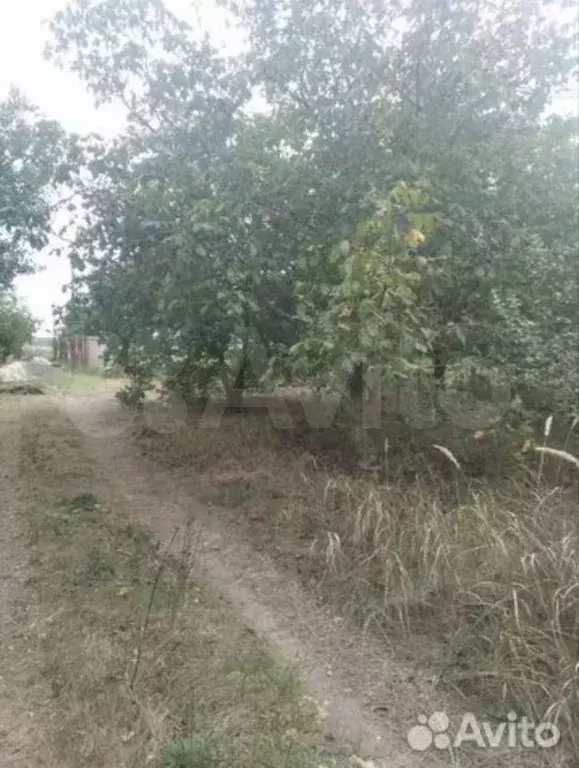 Участок 6,8 сот. (СНТ, ДНП) - Фото 0