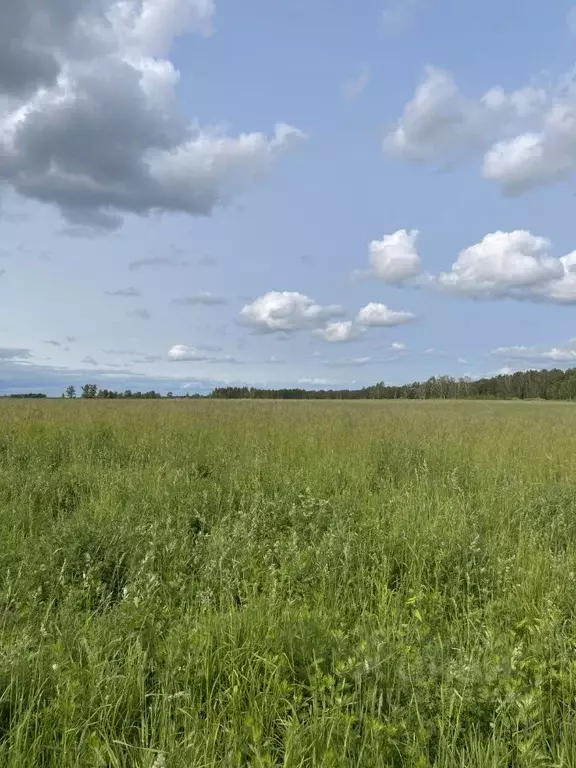 Участок в Московская область, Клин городской округ, с. Воздвиженское  ... - Фото 1