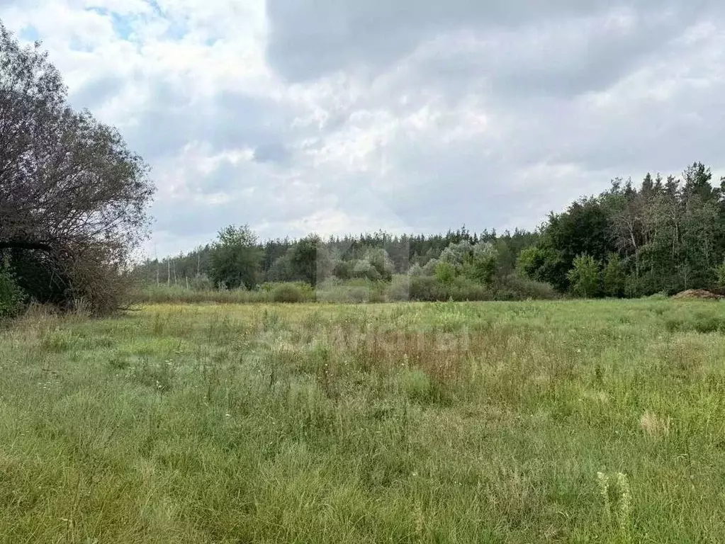 Участок в Воронежская область, с. Новая Усмань  (14.3 сот.) - Фото 2