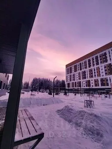 Студия Коми, Сыктывкар Петрозаводская ул., 45 (25.0 м) - Фото 2