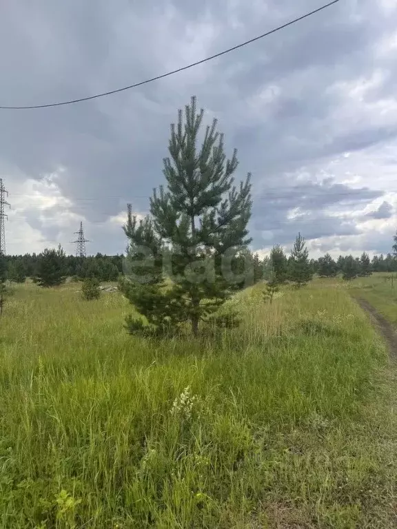 Участок в Курганская область, Шадринск ул. Носилова, 1 (862.0 сот.) - Фото 1