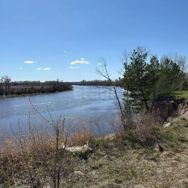Участок в Тюменская область, Тюменский муниципальный округ, с. ... - Фото 1