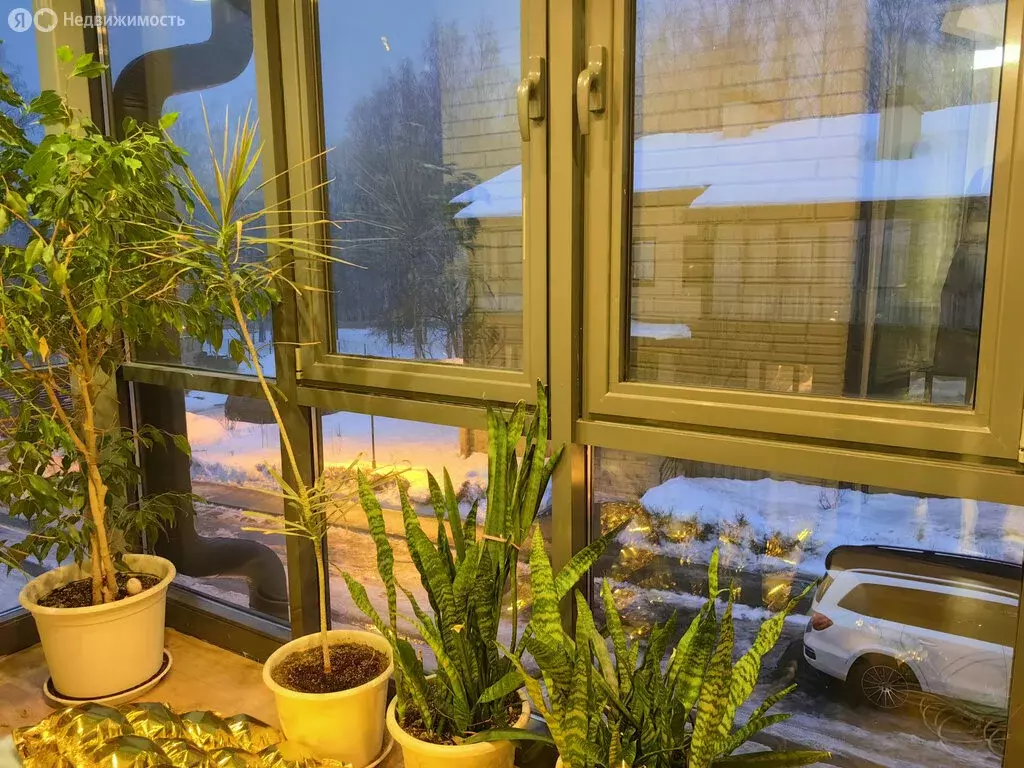 Дом в деревня Бор, Берёзовая аллея, 1Бк4 (155 м) - Фото 1