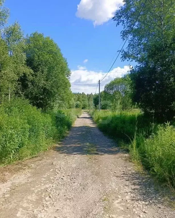 Участок в Тульская область, Тула городской округ, д. Прудное ул. ... - Фото 1