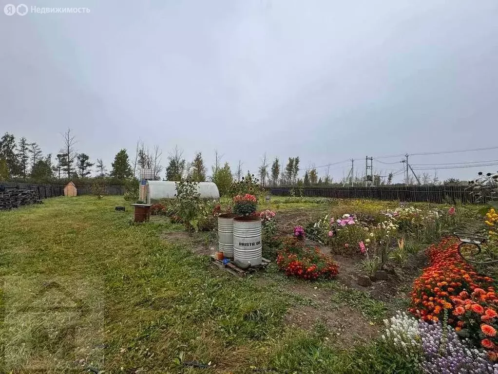 Участок в село Зелёное, Тополиная улица, 14 (15 м) - Фото 2