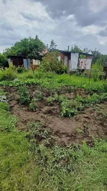 Участок в Воронежская область, Воронеж Сосна СНТ, ул. 6-я, 283 (6.0 ... - Фото 1