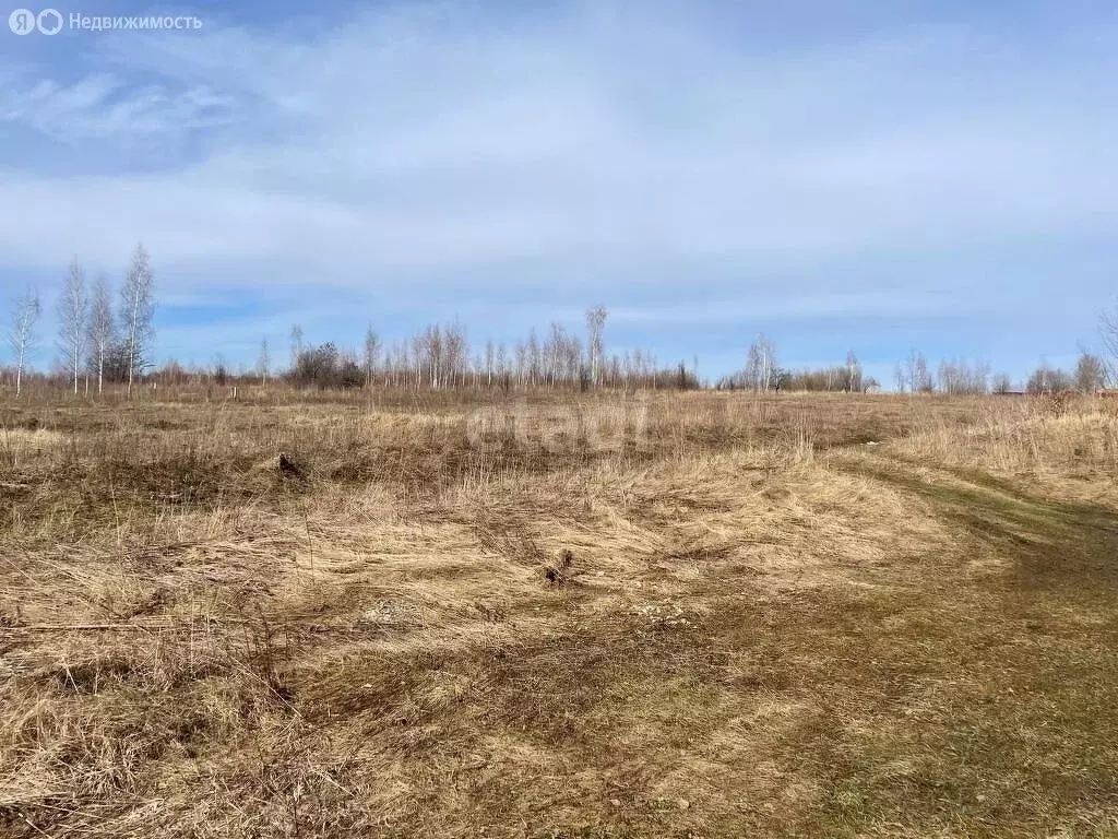 Участок в Киреевский район, сельское поселение Бородинское, рабочий ... - Фото 0