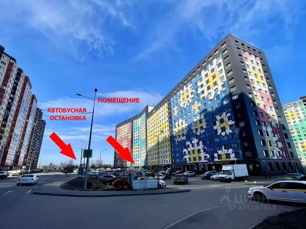 Помещение свободного назначения в Ленинградская область, Мурино ... - Фото 2
