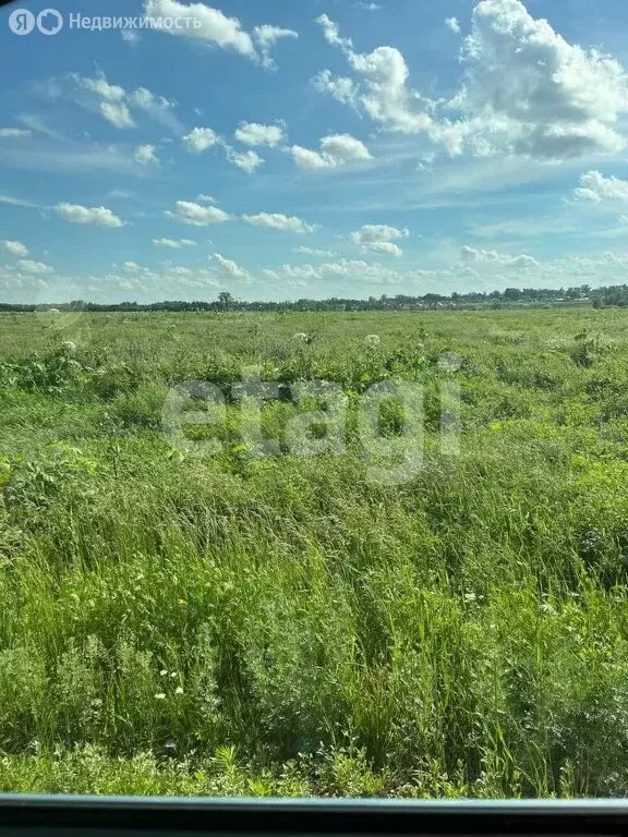 Участок в Тульская область, Новомосковск (653.9 м) - Фото 0