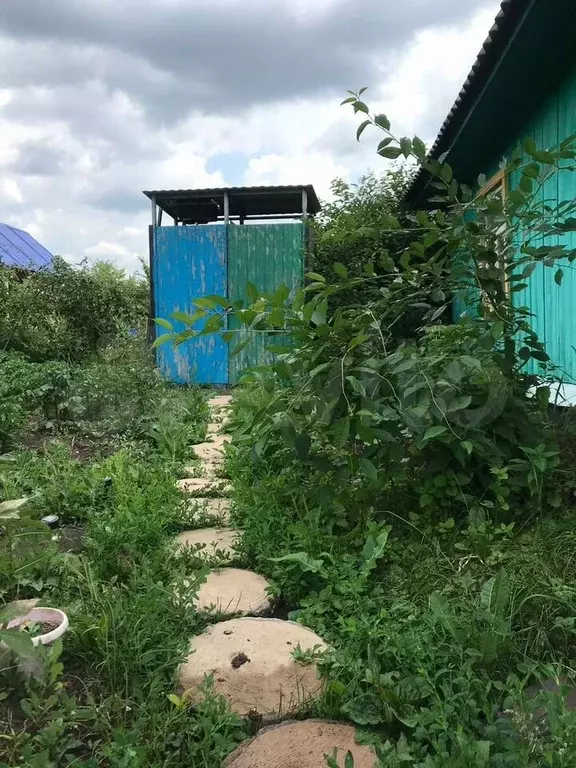Дача 50 м на участке 5 сот. - Фото 1