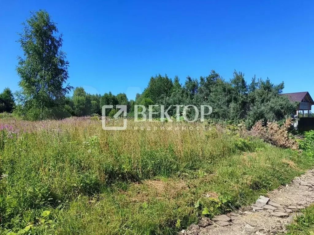 Участок в Ивановская область, Ивановский район, Новоталицкое с/пос, д. ... - Фото 2