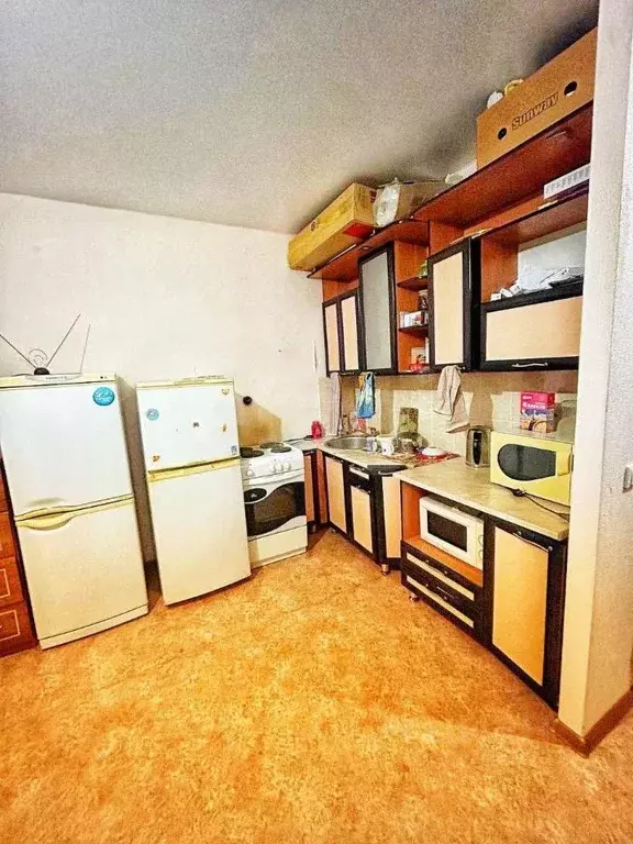 Студия Ямало-Ненецкий АО, Муравленко ул. 70 лет Октября, 45 (25.5 м) - Фото 1