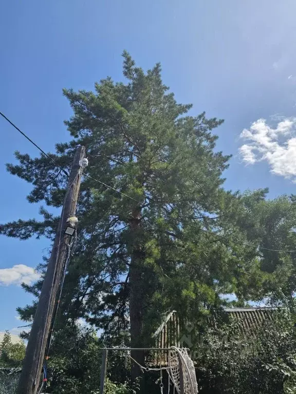 Дом в Оренбургская область, Оренбург Урал-2 СНТ, ул. Березовая (33 м) - Фото 2