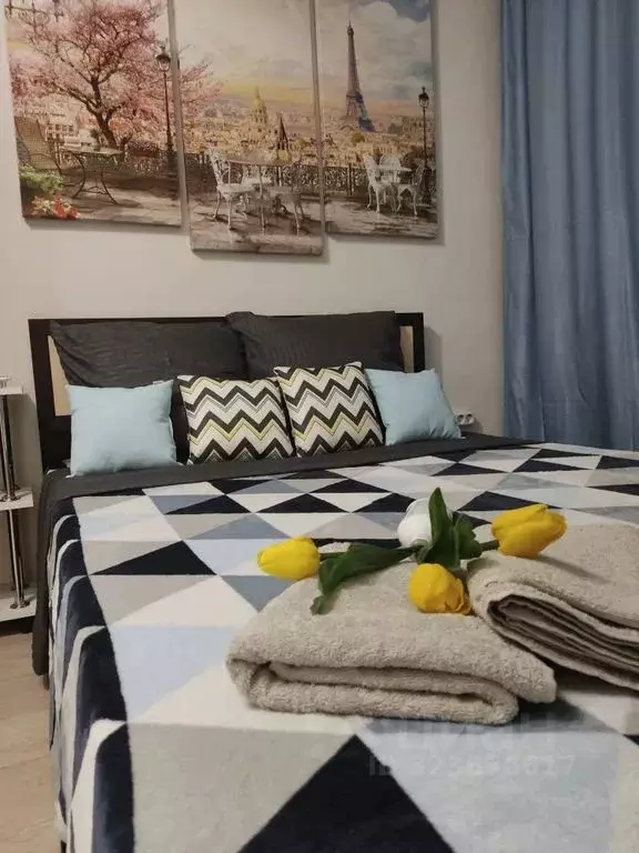 1-к кв. Воронежская область, Воронеж ул. Революции 1905 года, 33/2 ... - Фото 2