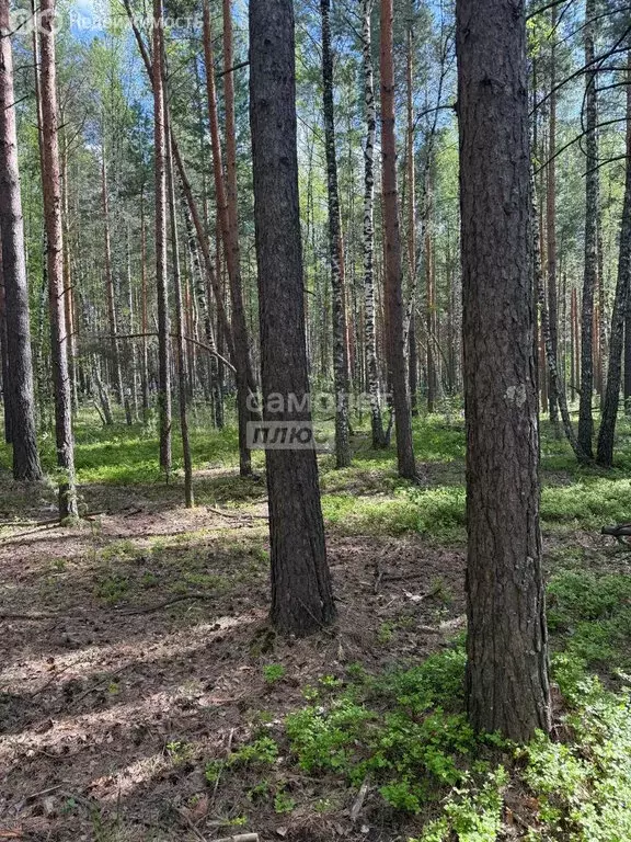 Участок в деревня Оськино, Майская улица (10 м) - Фото 1