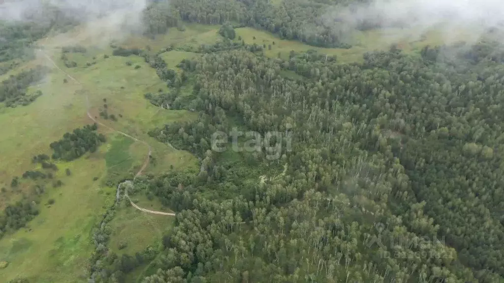 Участок в Новосибирская область, Мошковский район, с. Сокур  (10.0 ... - Фото 1