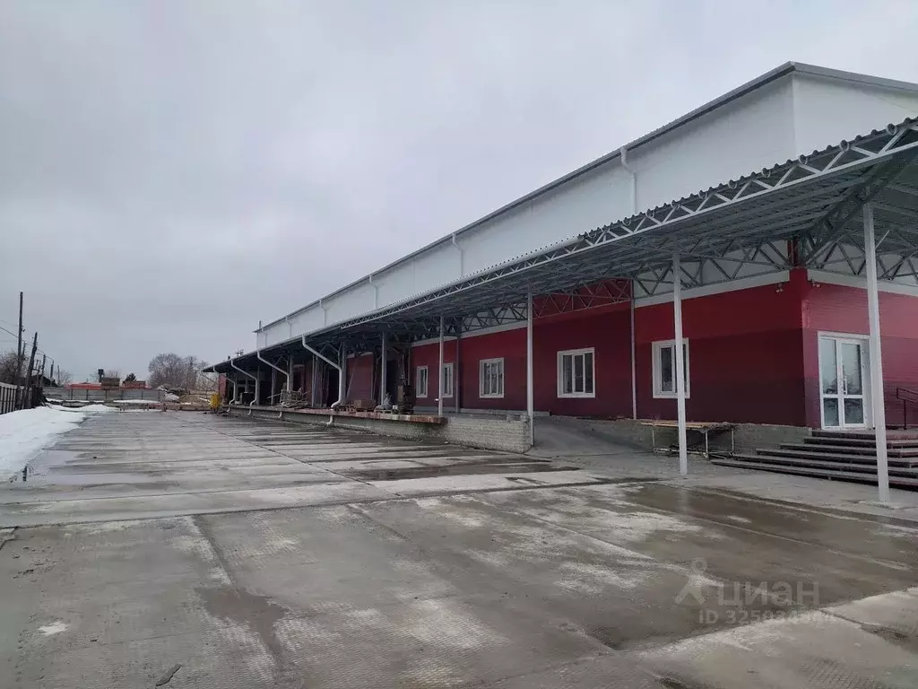 Помещение свободного назначения в Алтайский край, Барнаул ул. ... - Фото 2