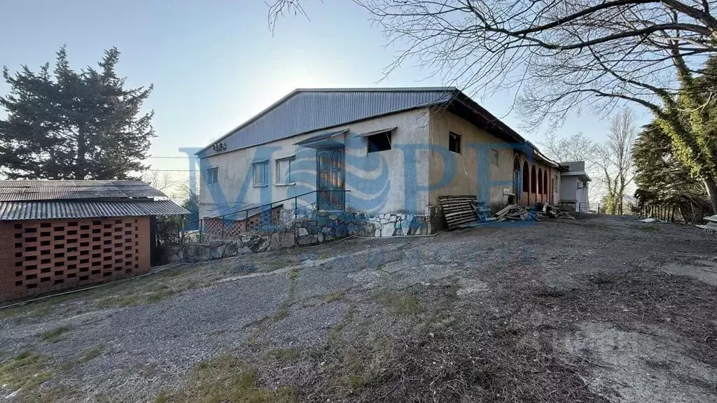Помещение свободного назначения в Краснодарский край, Сочи Главная ... - Фото 2
