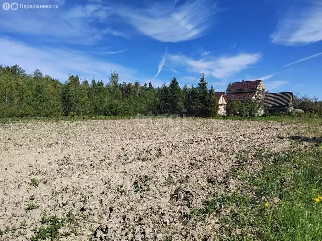 Участок в Ленинградская область, Волхов (13.3 м) - Фото 0