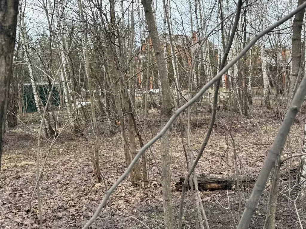 Участок в Московская область, Старая Купавна Богородский городской ... - Фото 2