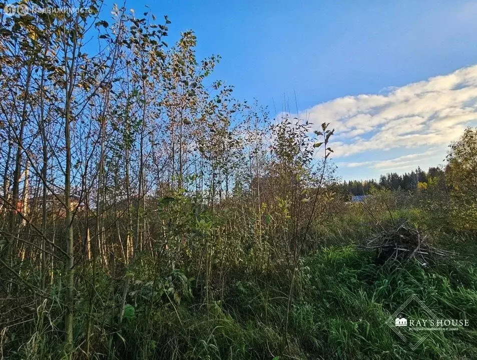 Участок в деревня Вартемяги, улица Рокоссовского, 62 (8.7 м) - Фото 1
