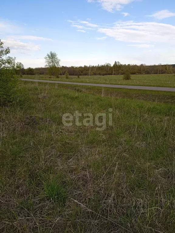 Участок в Пермский край, Верещагинский городской округ, д. Дурово  ... - Фото 1