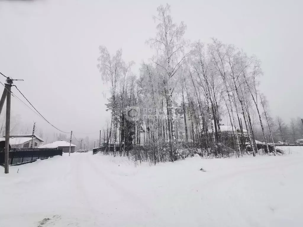 Участок в Ленинградская область, Всеволожский район, Токсовское ... - Фото 2