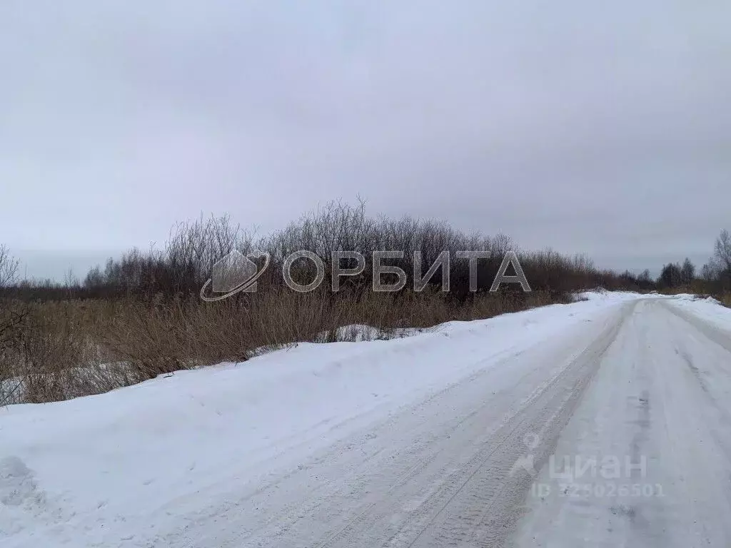 Участок в Тюменская область, Тюмень  (10.0 сот.) - Фото 2
