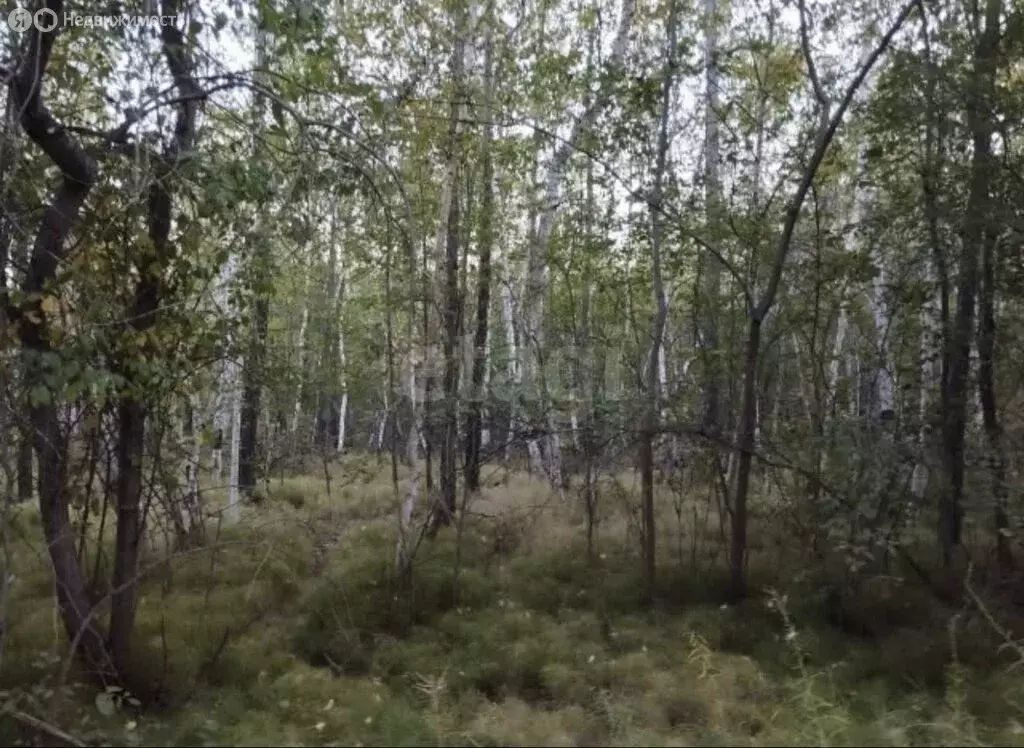 Участок в Якутск, микрорайон Кангалассы (19.51 м) - Фото 2